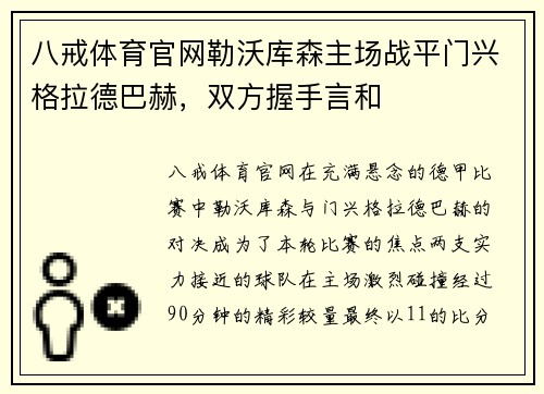 八戒体育官网勒沃库森主场战平门兴格拉德巴赫，双方握手言和